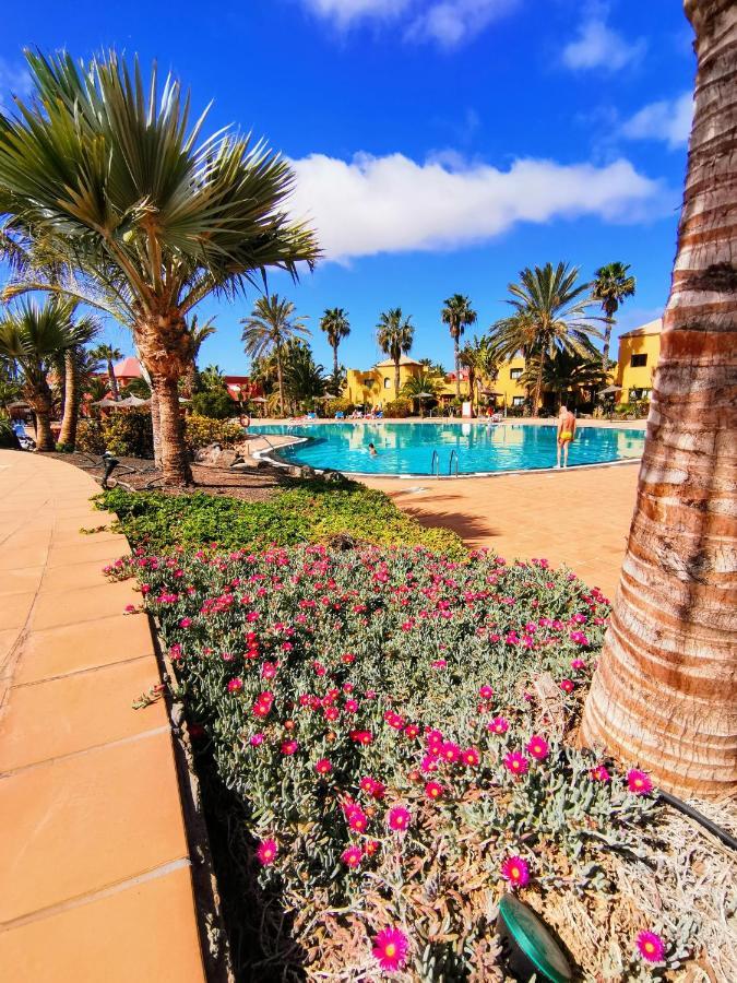 Appartamento Spagnolo Oasis Tamarindo Κοραλέχο Εξωτερικό φωτογραφία
