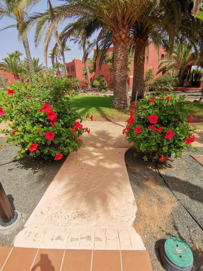Appartamento Spagnolo Oasis Tamarindo Κοραλέχο Εξωτερικό φωτογραφία
