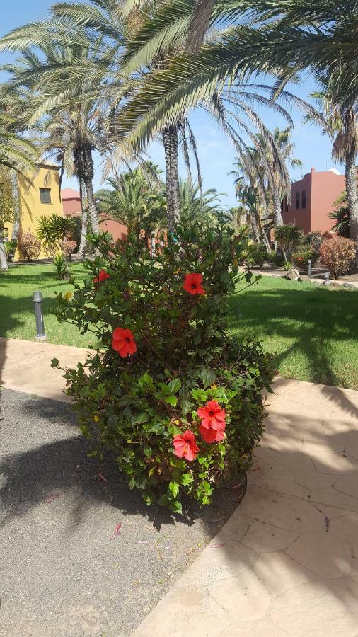 Appartamento Spagnolo Oasis Tamarindo Κοραλέχο Εξωτερικό φωτογραφία